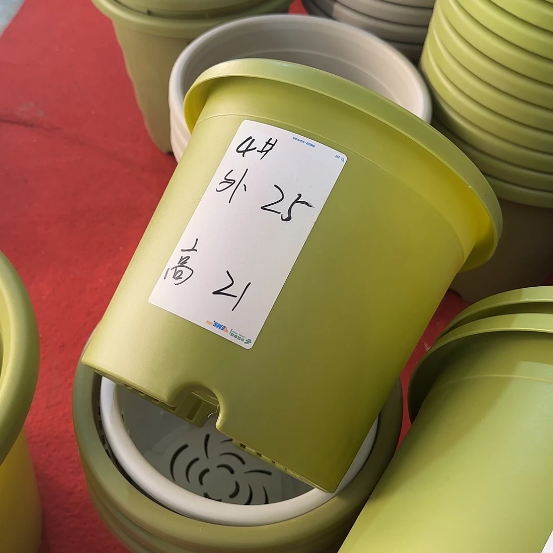 树脂四季4号带托5个灰白