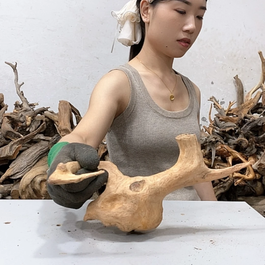 【闪购商品】柏木雅*我们都是好孩子