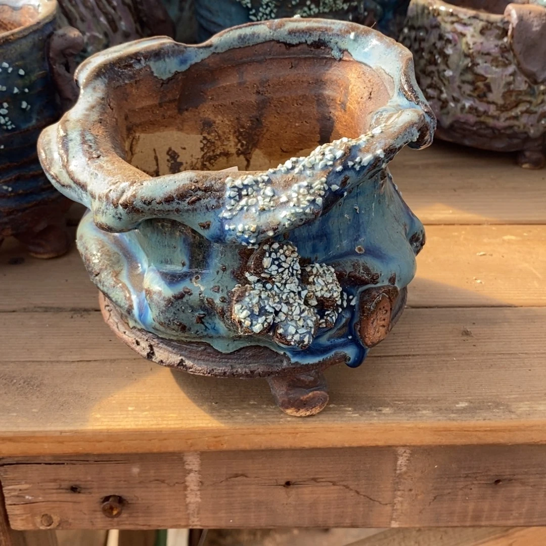 11号多肉盆口径12