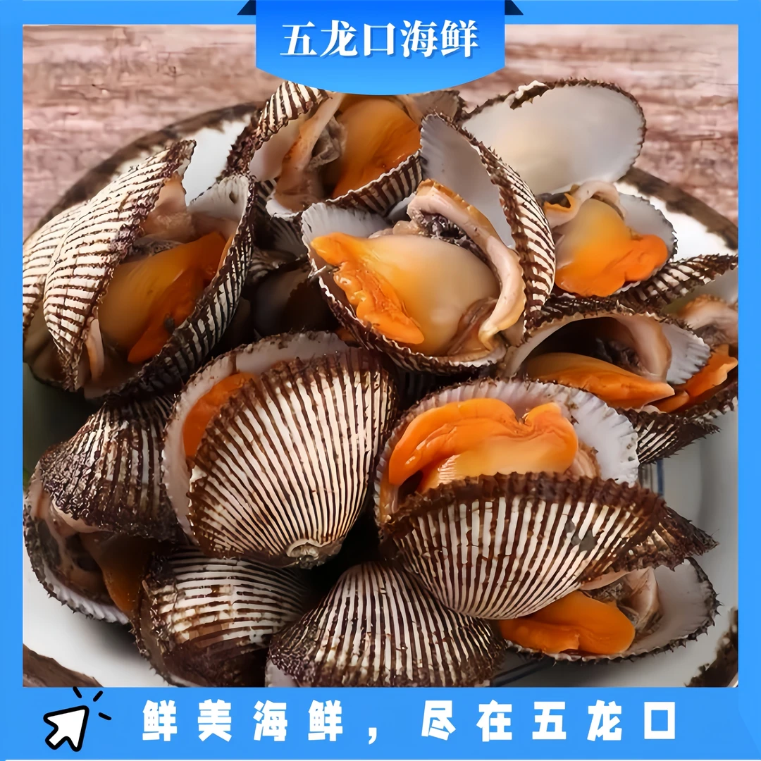 鲜活毛蛤蜊新鲜蛤蜊3/5斤现捕现发非血蛤鲜活小海鲜贝类水产精品