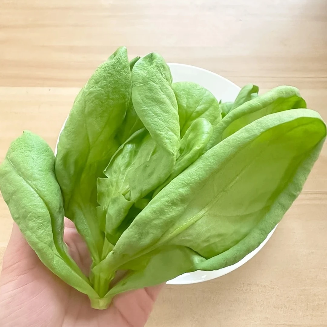 上海本地时令蔬菜蓬篙菜
