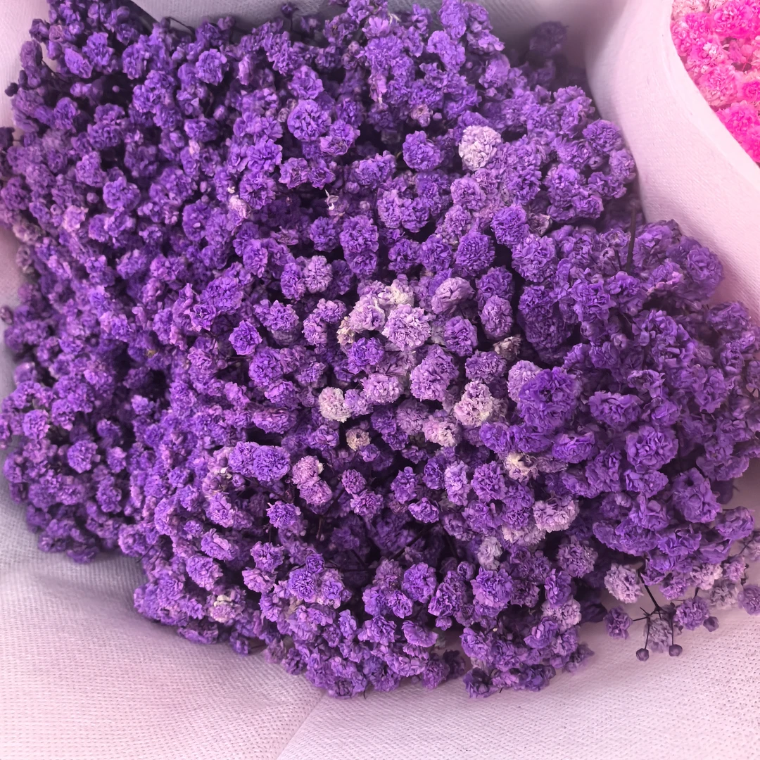 满天星真花鲜花花束可风干仪式感半干发货适合桌面手工diy插花