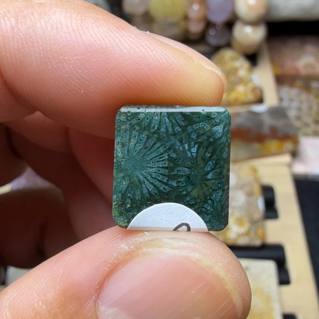 硅化玉未镶嵌天然有机玉石保真色瑕疵特价不退换