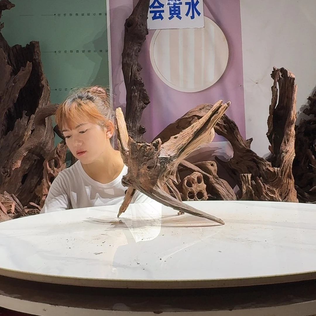 紫砂镂空姬****紫柚沉木不包损8934