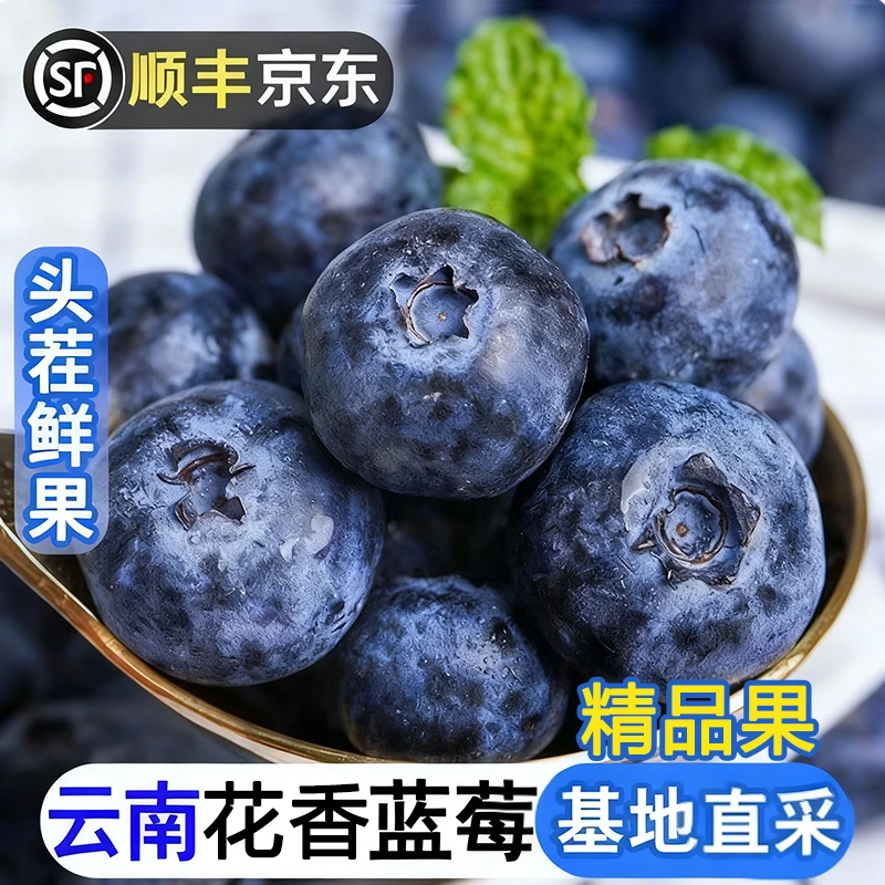现货【今天拍明天到】TY高山蓝莓当季新鲜宝宝孕妇头茬水果100g/盒1-4盒云南省