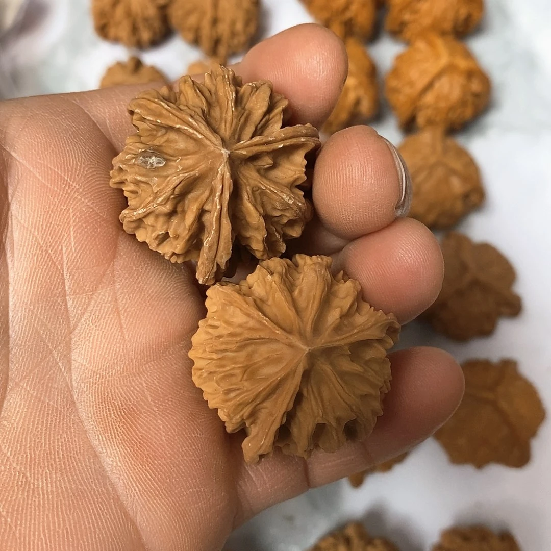 木质文玩麻核桃岐山三棱有点虫爬