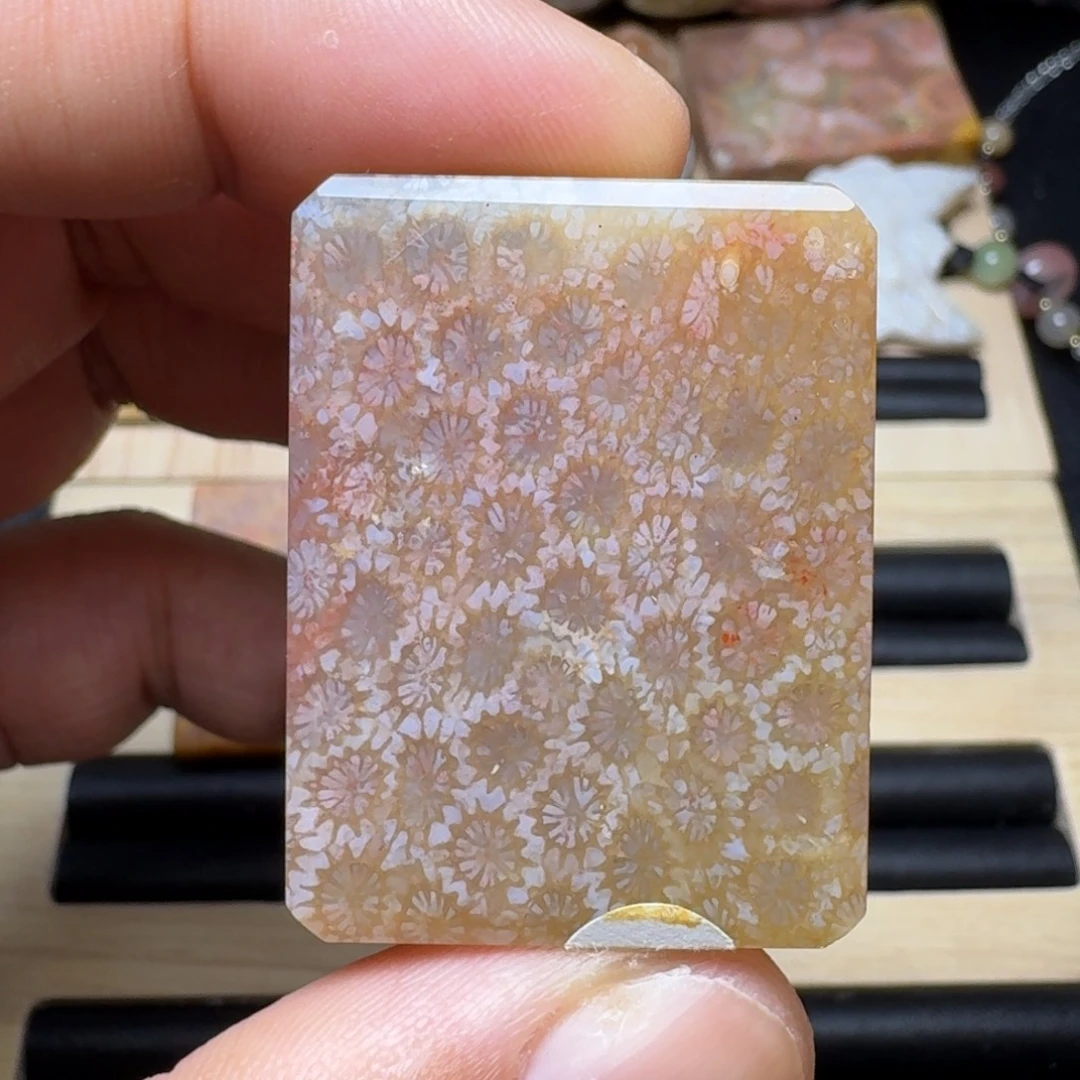 未镶嵌纯天然色有机玉石保真色硅化玉