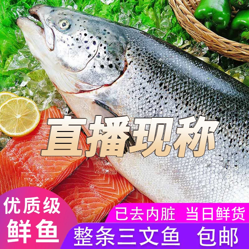 【2号】海水养殖三文鱼 现称现发