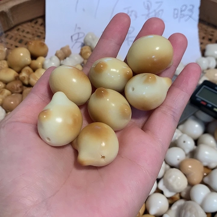 娜****菩提根/象牙果手串象牙果猫头7颗 瑕疵