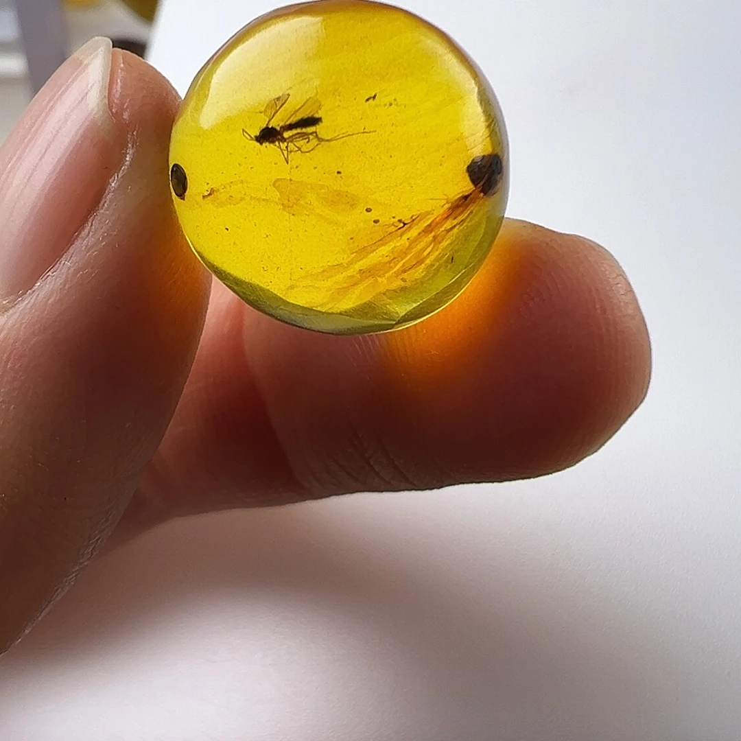 琥珀裸石未镶嵌琥珀虫珀