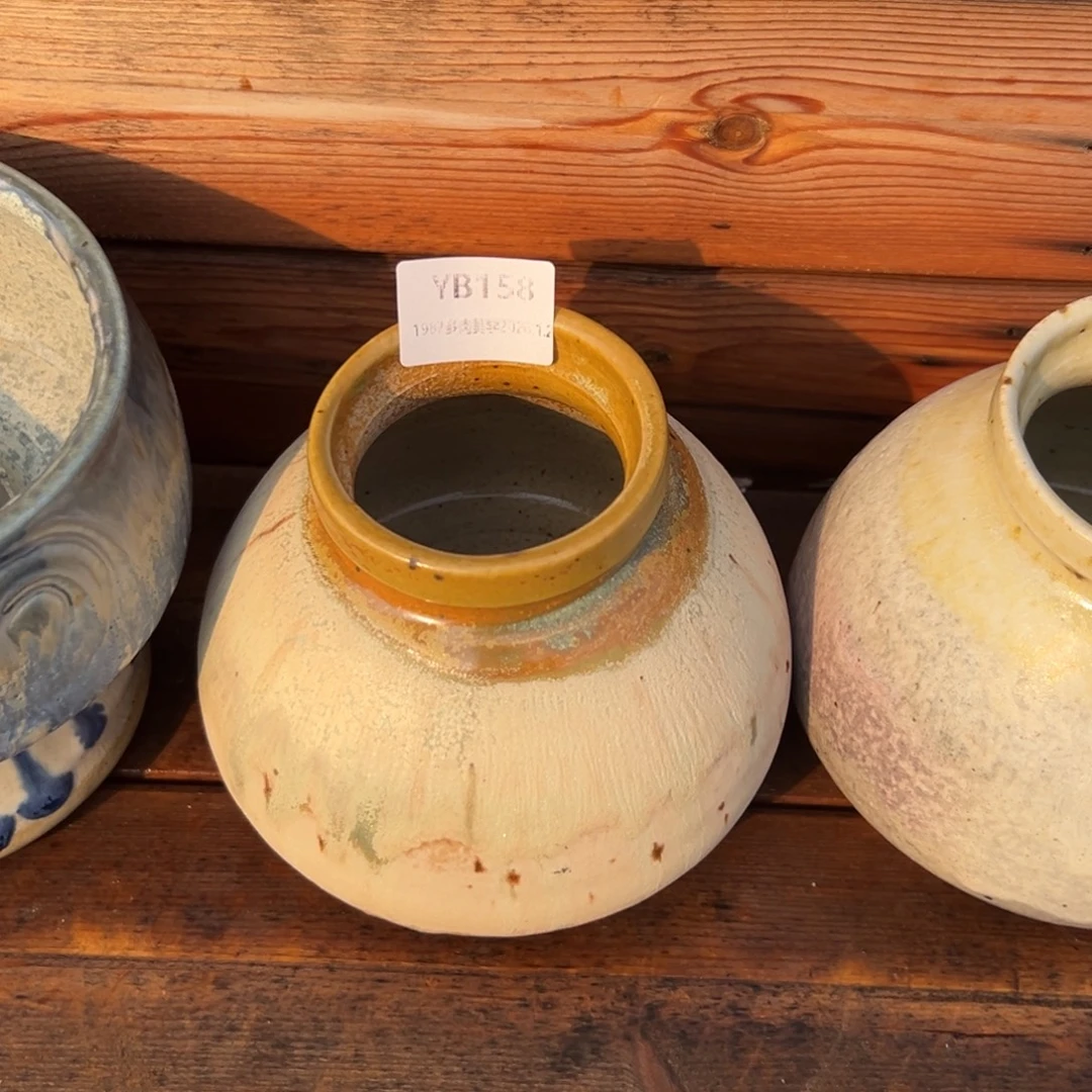 甜***的1987多肉植物福利盆158