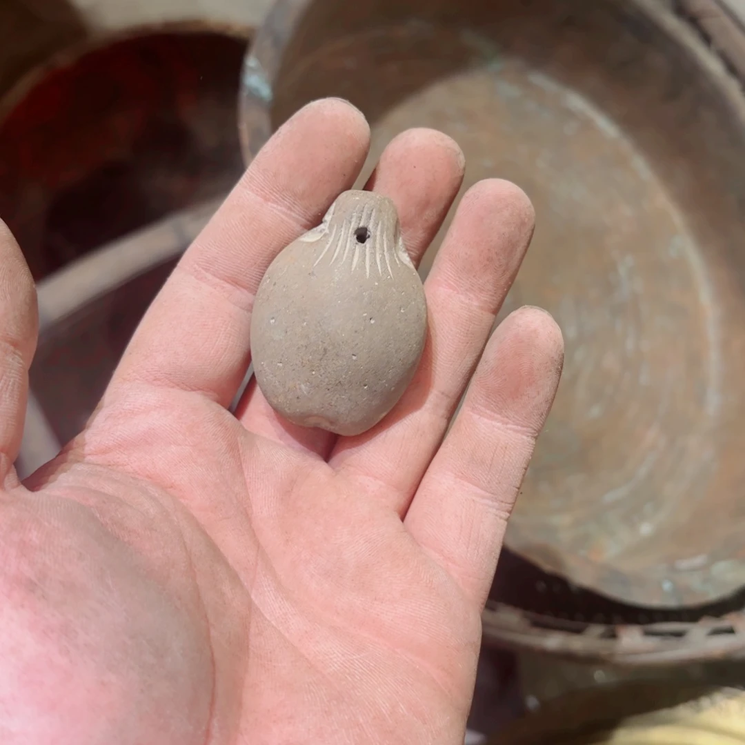 营***鱼一物一图，谨慎下单