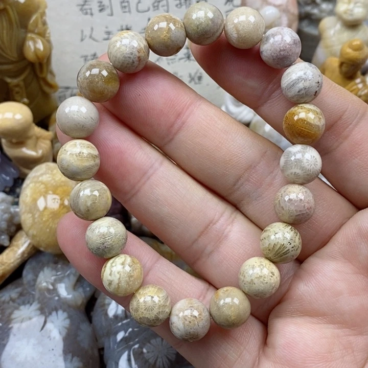 颈饰未镶嵌硅化珊瑚（珊瑚玉）