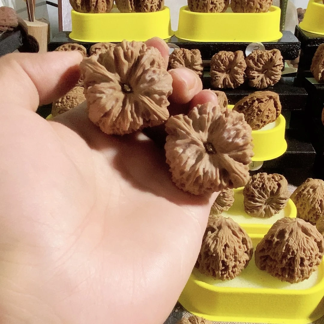 木质类今天是不是又要