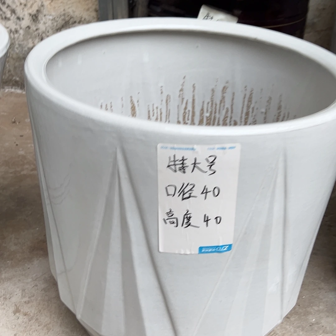 钻石款纯白色特大号1个