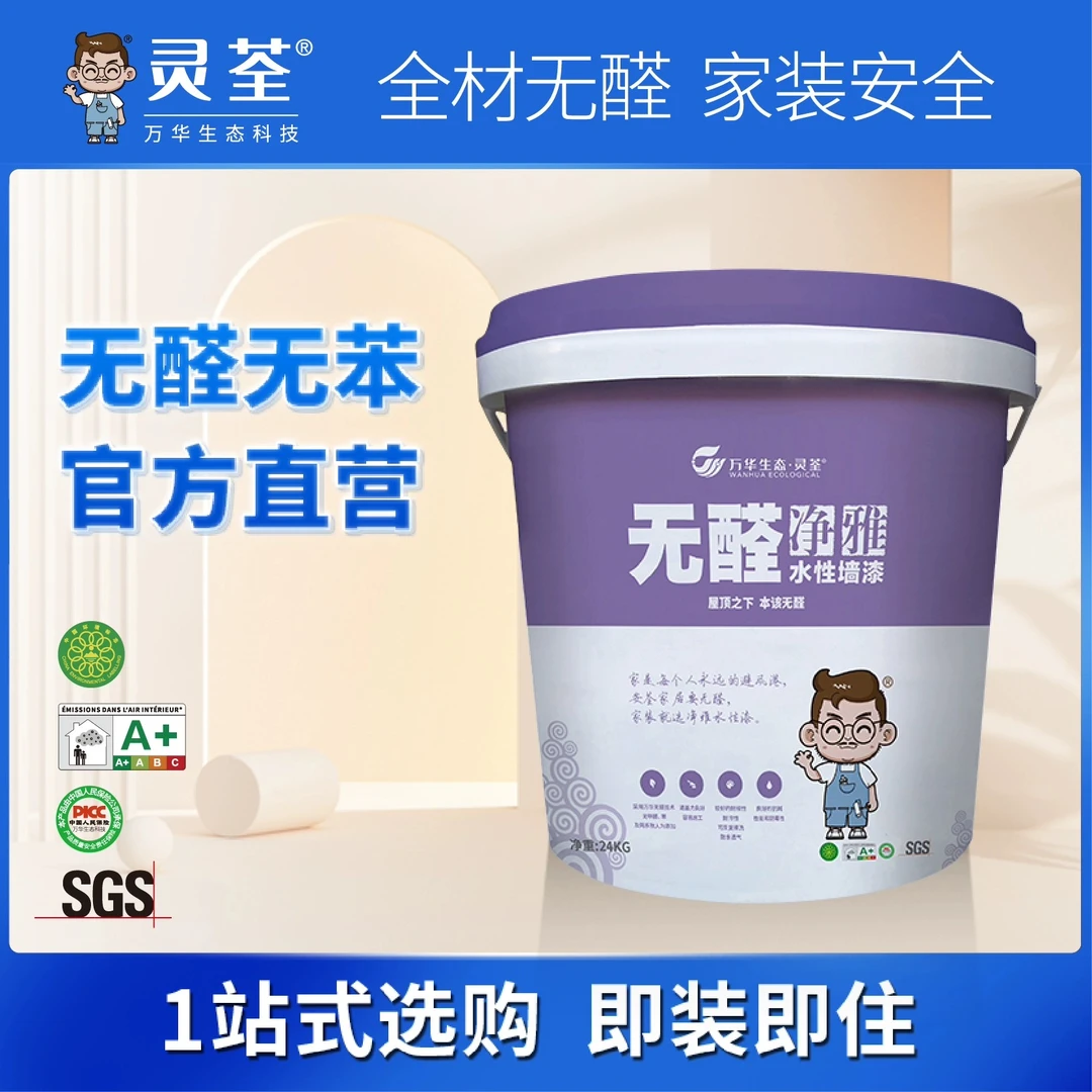 无醛净雅水性墙漆新墙涂刷旧房翻新即装即住