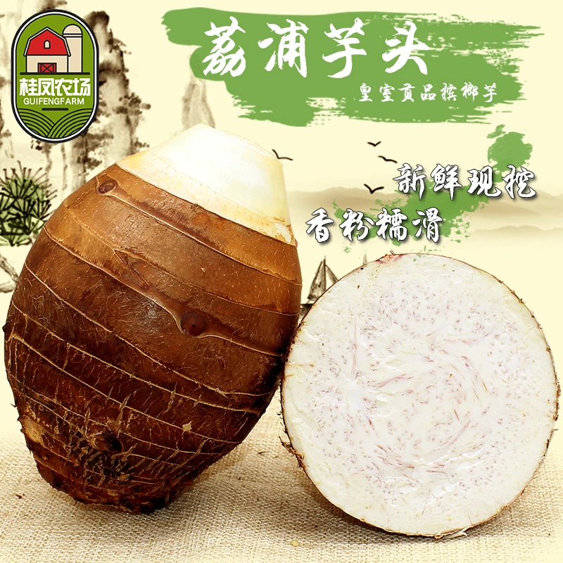 桂凤农场【顺丰】正宗广西荔浦芋头香芋大紫芋新鲜产地农场现挖现发