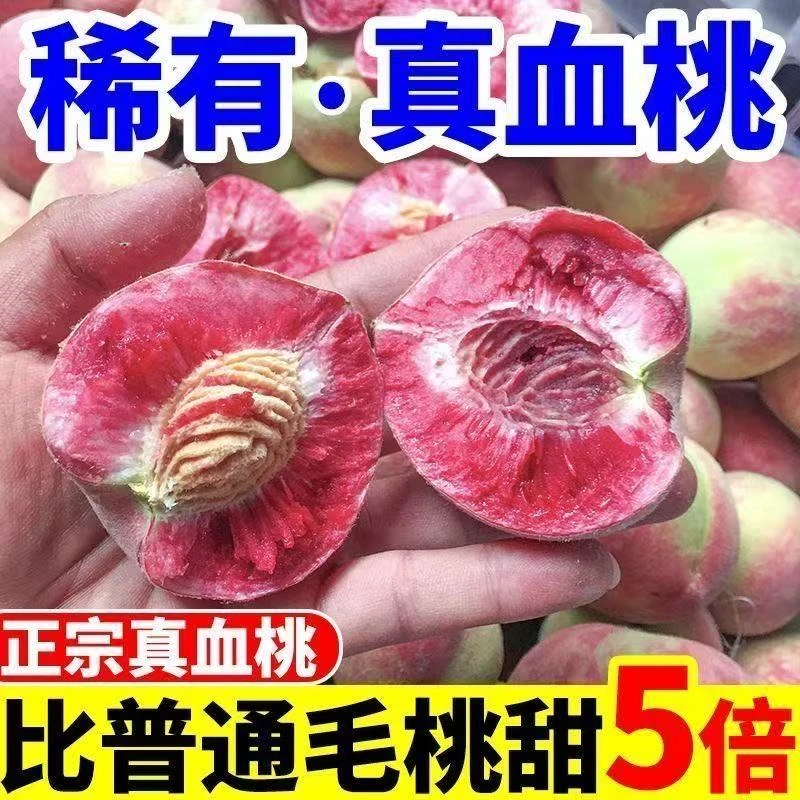 湖北老品种血桃当季时令水果红心毛桃胭脂桃孕妇新鲜水果非水蜜桃