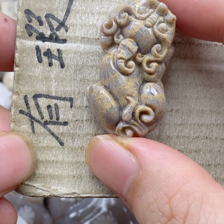 颈饰未镶嵌硅化珊瑚（珊瑚玉）s**.