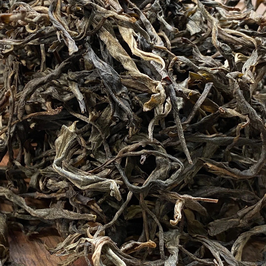 2023年莽枝保护林 六十-七十年老树