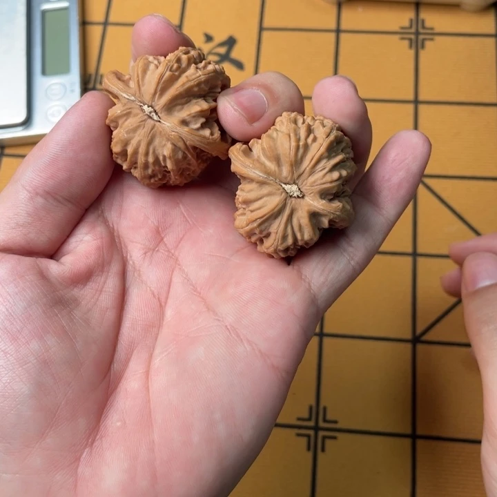 梅***酱核桃全品白狮子非常喜欢