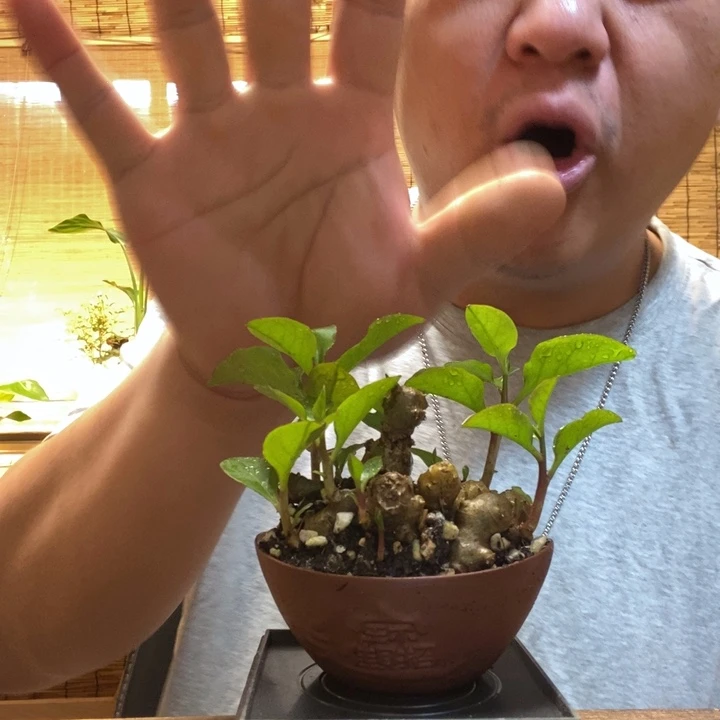 一物一拍所见即所得324