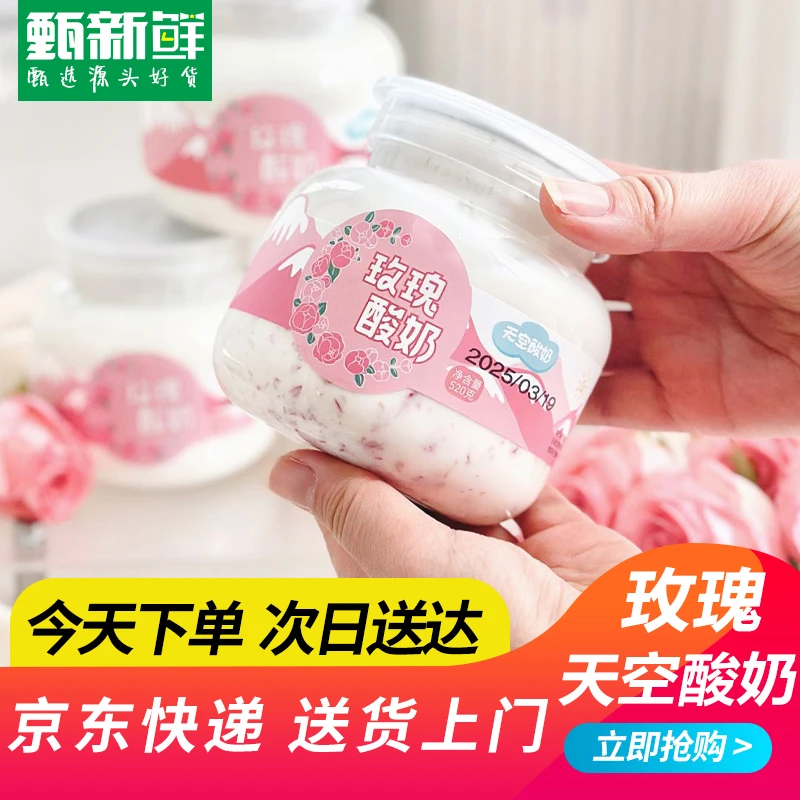 天空玫瑰酸奶520g*1罐京东快递送货上门