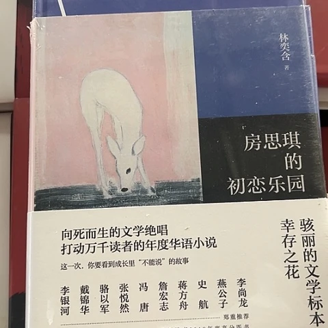 精装 房思琪的初恋乐园11闪购