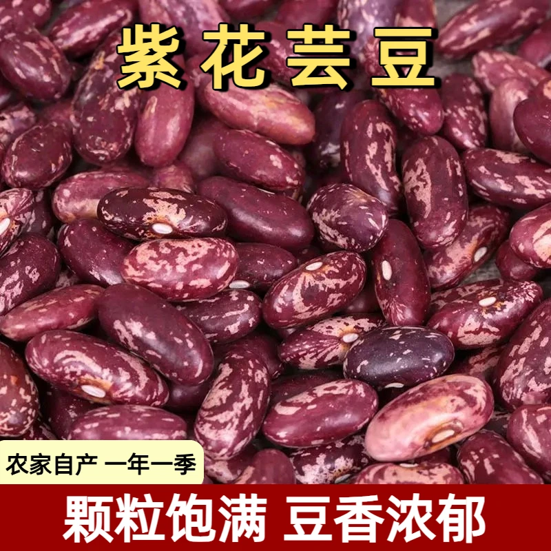 紫花芸豆花芸豆饭豆农家种植五谷杂粮熬煮大碴粥新鲜芸豆粗粮新豆