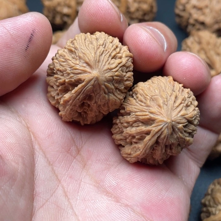 孙***生文玩核桃把件一帆风顺