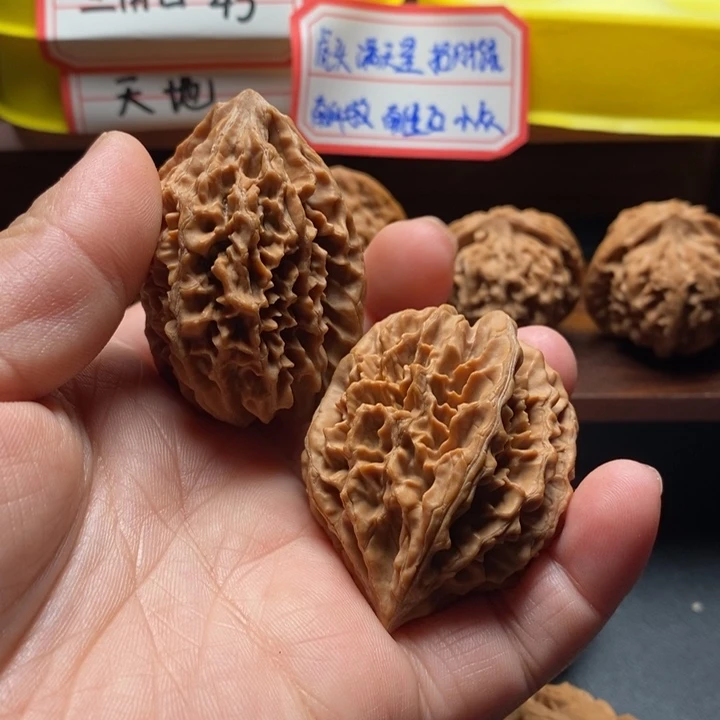 *****全品无修招财鼠38