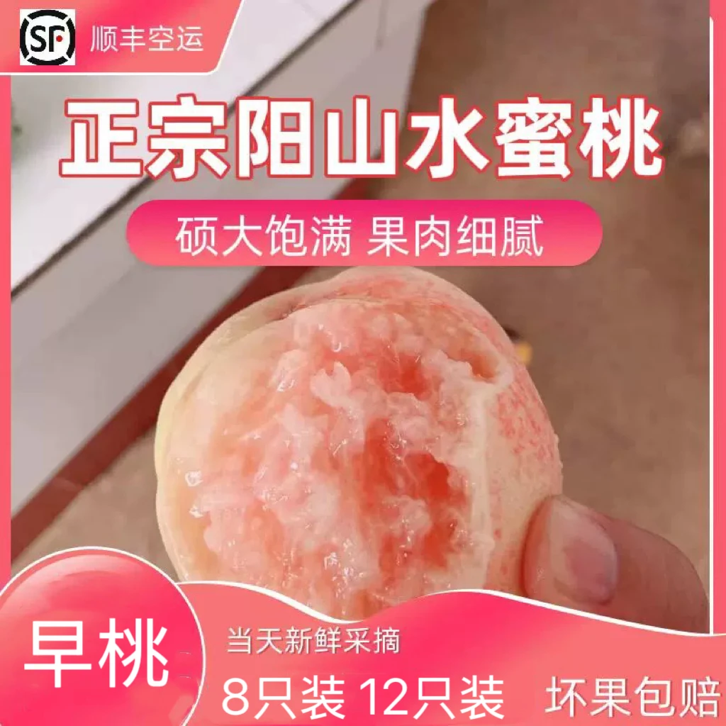 自家种阳山水蜜桃早桃京红日川12个装拍三送一