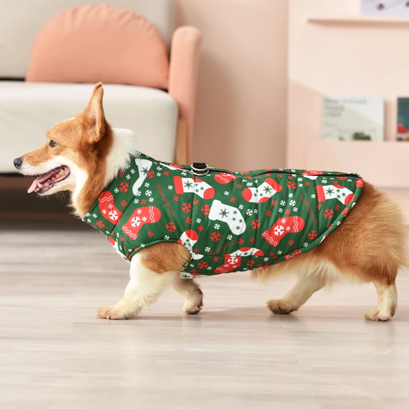 狗狗衣服秋冬装中小型犬泰迪比熊柯基宠物衣服冬季狗狗衣服秋冬款