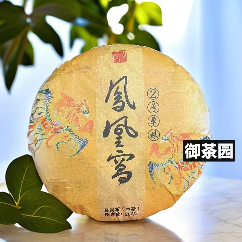 2024年 凤凰窝单株【2号单株】生茶 200克/饼（普洱茶区）