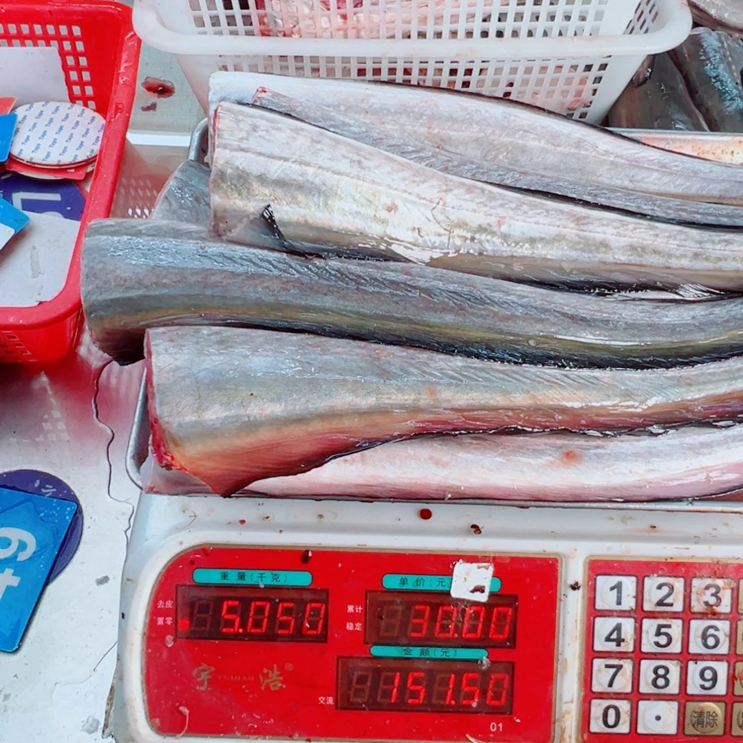 中国大陆鳗鱼物业，鱼尾5斤