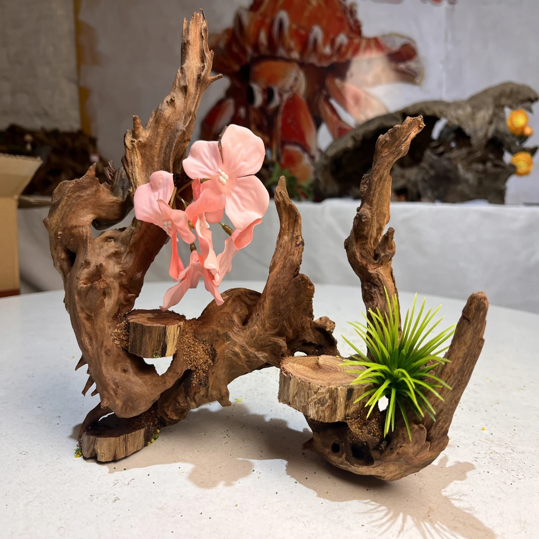 寄居蟹造景沉木尺寸.26.15.24