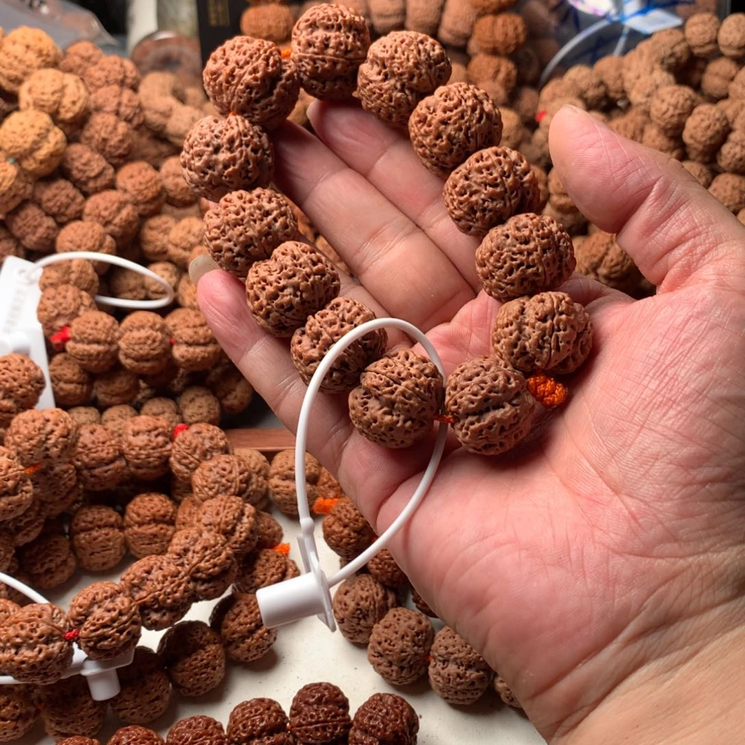 小***豆手串金刚菩提23龙牙超头