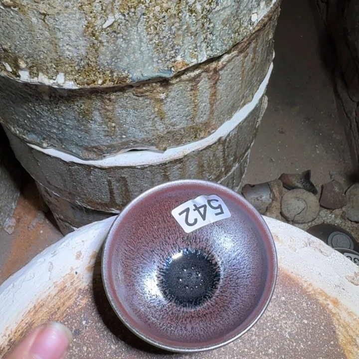 茶盏突出抓重点项目带动农业