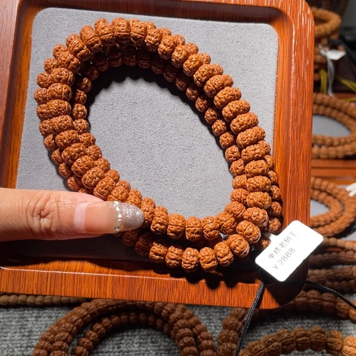 手串金刚菩提样本纯血老树王长串