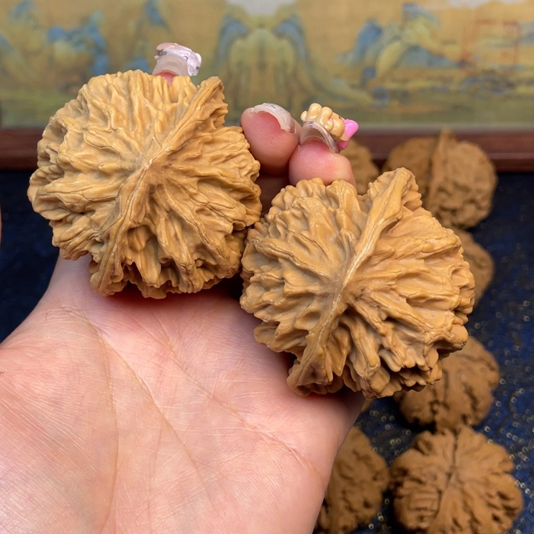 逐***者核桃1号链接111111