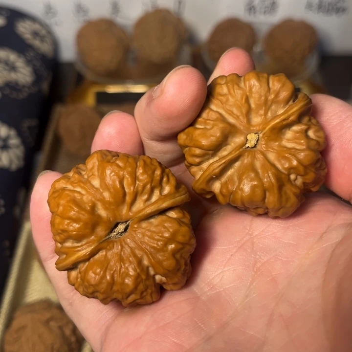 核桃蛤蟆头尖微黄…………