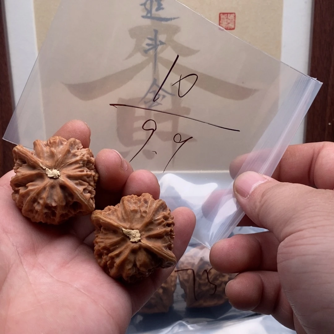 核桃哈哈哈哈哈哈哈哈