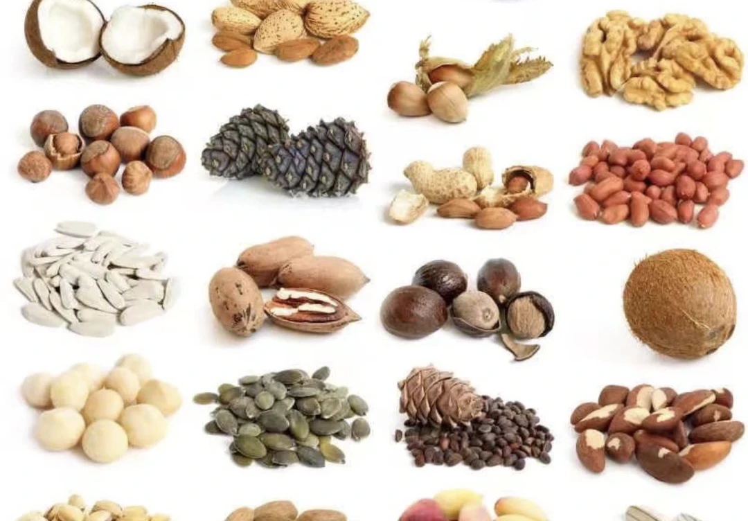 云南特产-非香菇