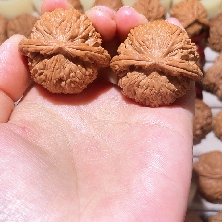 文玩核桃把件白狮子全品40.5尺放漏款