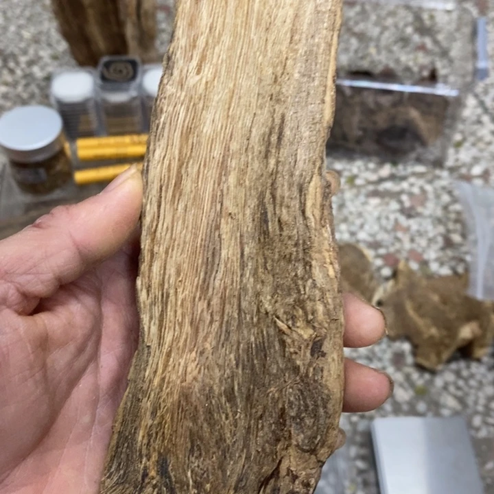 风***线香国香糖结金丝结树头根料82克