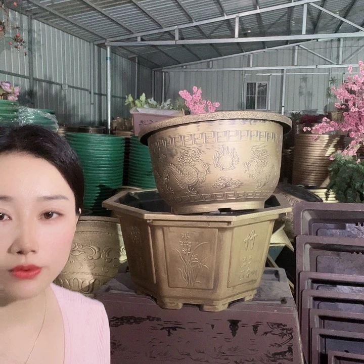 龙纹60花盆一个一个