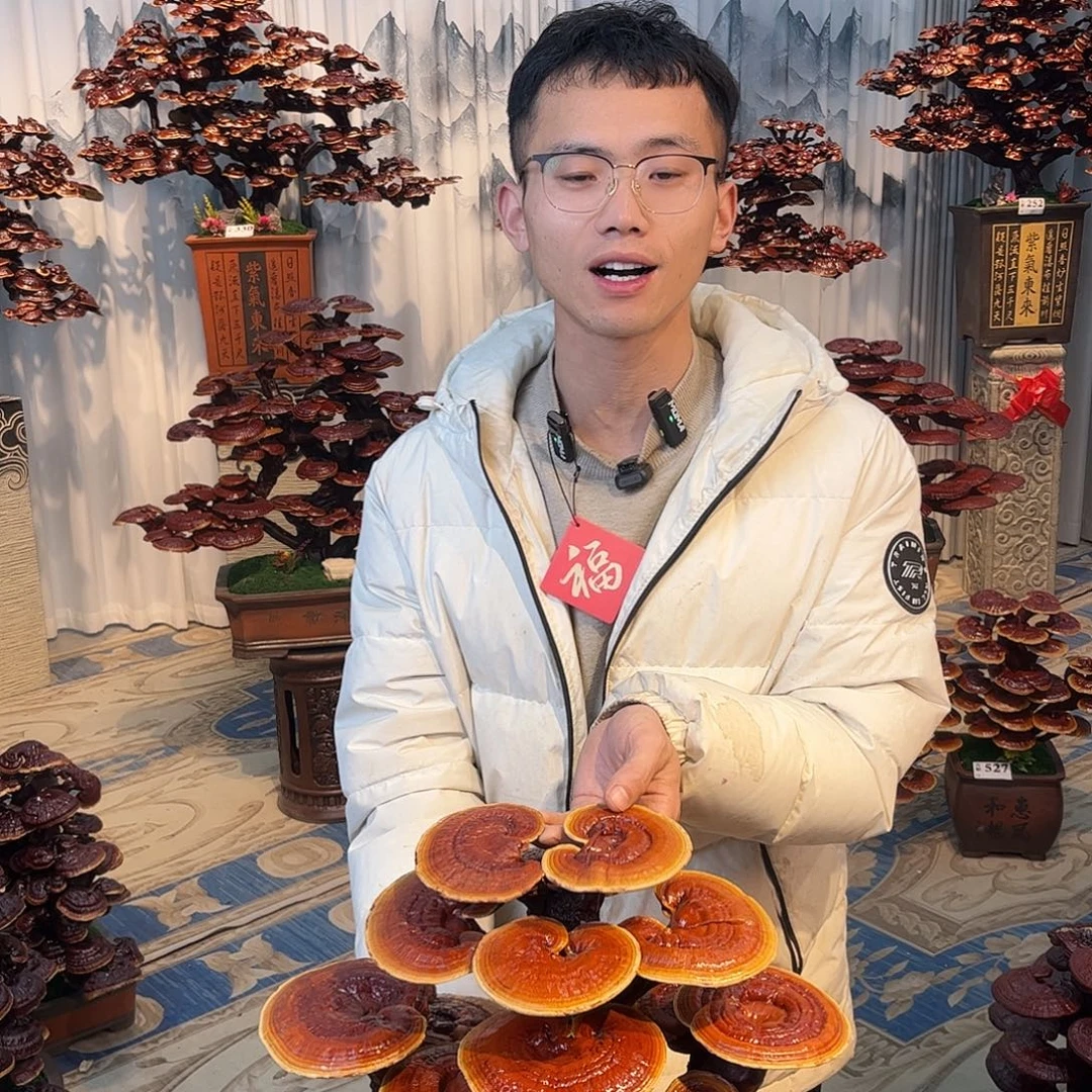 愿****无花朵88888888888