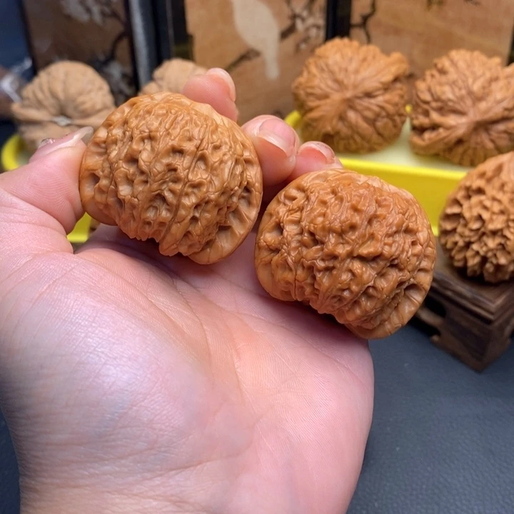 传***承文玩核桃把件501血麒麟42全品