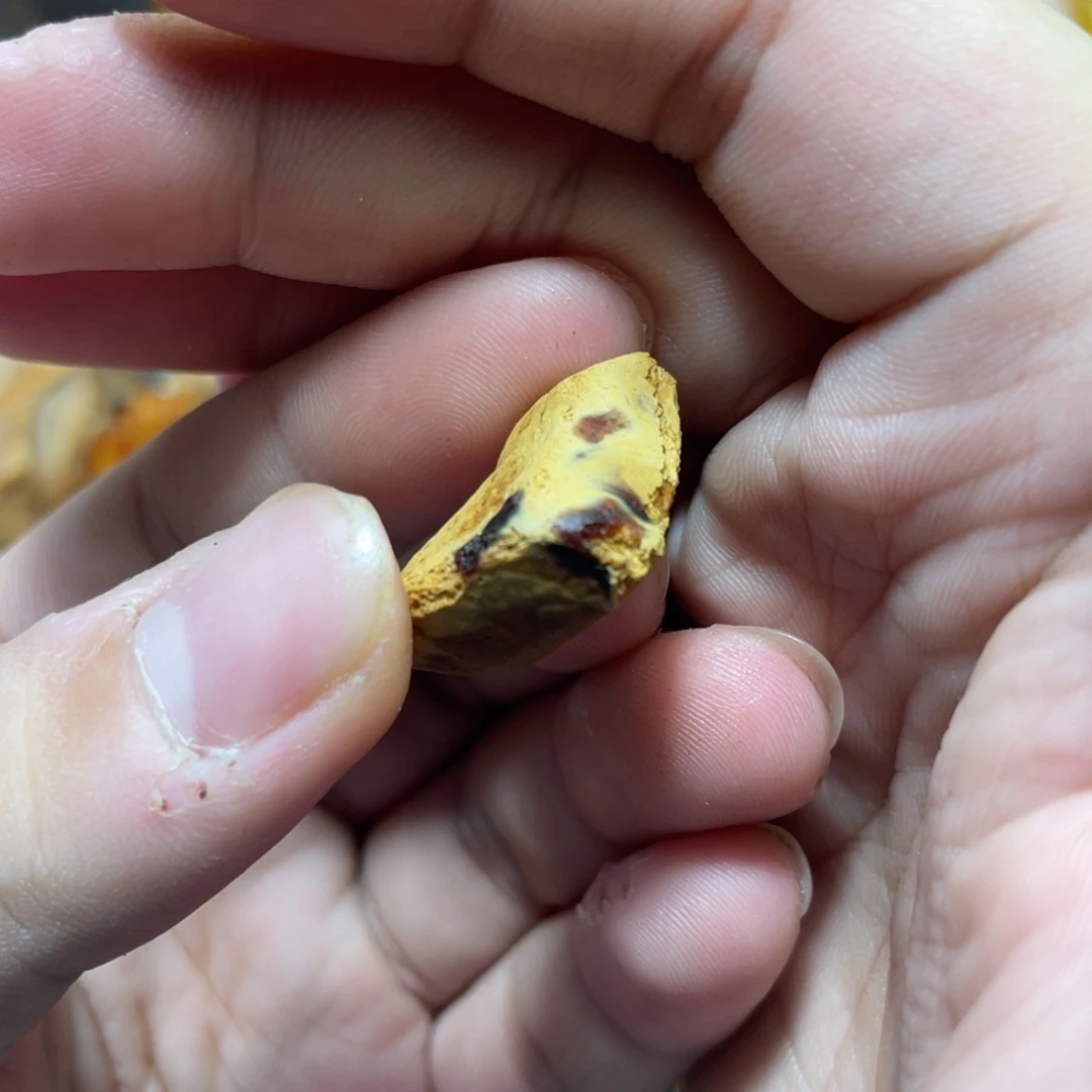 定制琥珀天然原矿