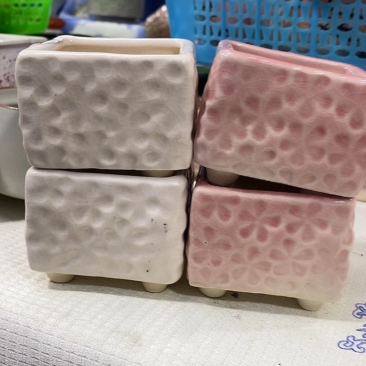 花盆抢购清货马上开始